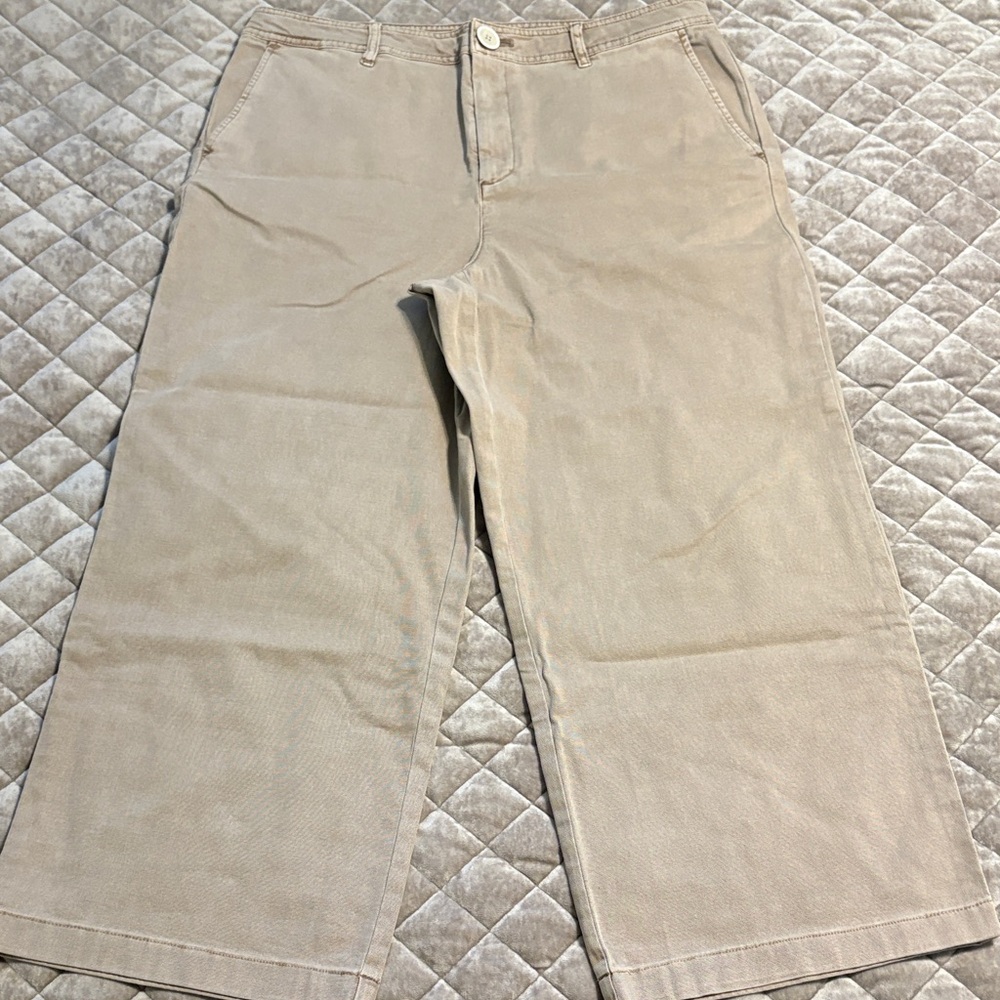 J. Jill Women's Tan Chinos